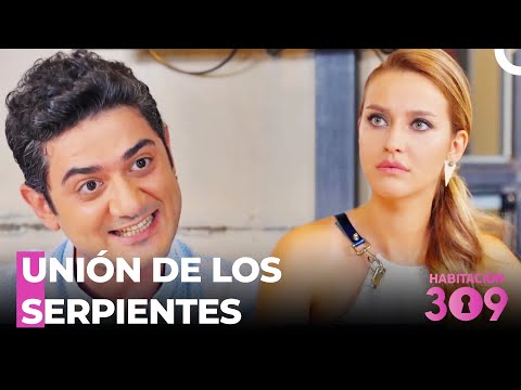 Pelinsu Y Erol Están En Los Planes - Habitación 309