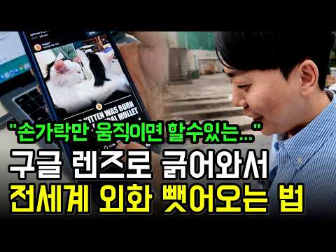 내가 직접 찍은 사진은 단 한 장도 없습니다