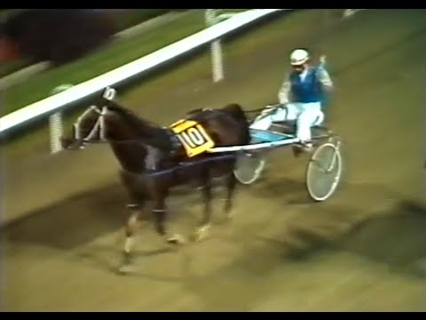 Harness Racing,Harold Park-21/03/1980 Inter-Dominion Heat-11 (Pure Steel-T.Demmler)