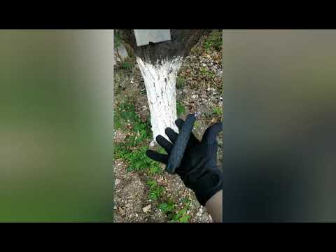 mil-Tec expandable baton 16' unboxing and tutorial