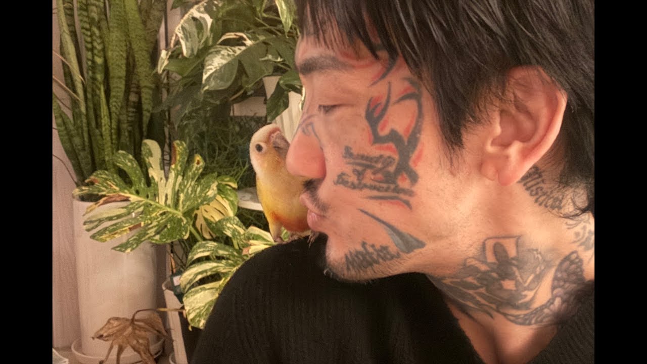 雑談の時間だろ