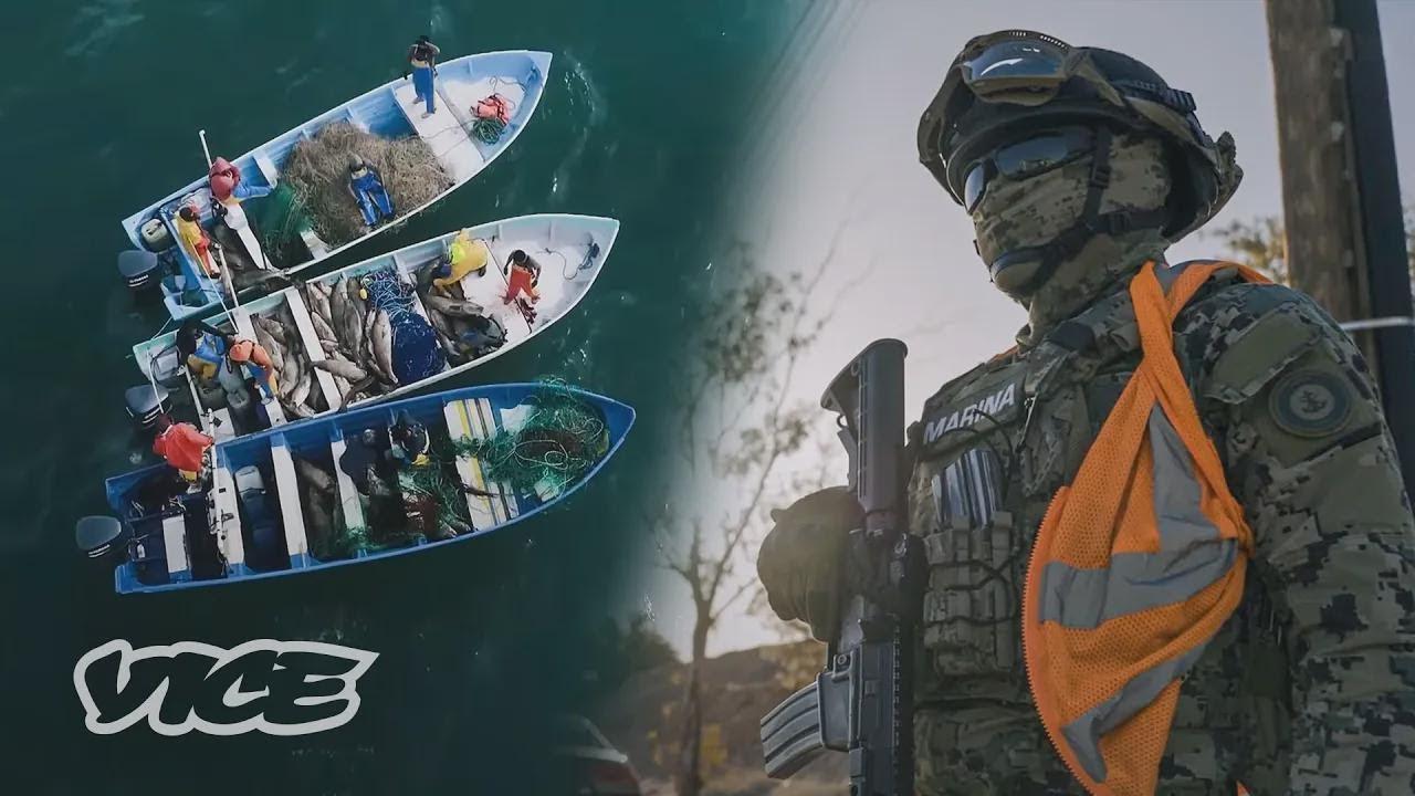 麻薬カルテルの巨額資金の闇に迫る｜VICEドキュメンタリー