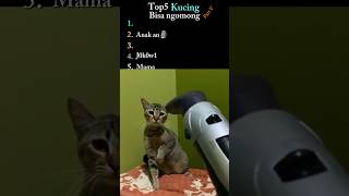 Download lagu Kucing bisa ngomong part 5 #kucing #lucu #kucingngomong #top5 #kucinglucu #catvideos mp3