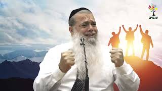 הרב יגאל כהן | איך להצליח בחיים? 🔴שידור חי