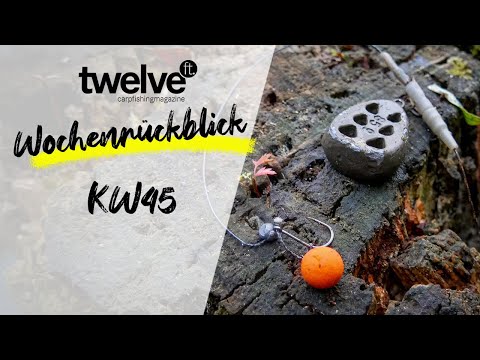 12ft Mag Wochenrückblick KW45 | Rutenfutteral | Hook and Hold | EVA-Taschen | Enzyme | Karpfenangeln
