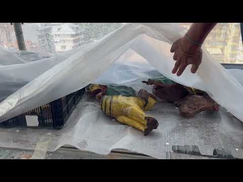 Lavori di restauro al campanile della chiesa del Sacro Cuore di Cuneo