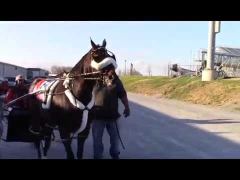 Wiggle It Jiggleit makes 2016 Debut (Show #910 - April 3, 2016)