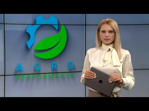 Agroperformanța: Pensiunile rurale - atracția miilor de turiști. Proiecte de succes din Moldova