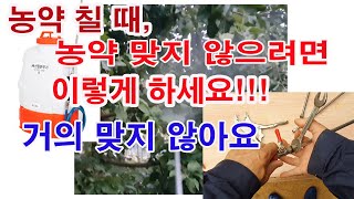 농약 칠 때, 농약 맞지 않으려면 이렇게 하세요! 농약 거의 맞지 않아요.(농약 방제법, 약대 사용, 분무기…