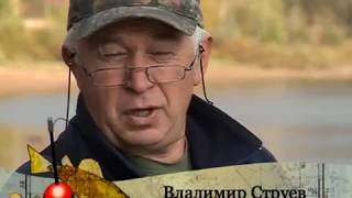 Карп на рузском водохранилище