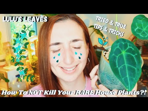 How To NOT Kill Your RARE Plants !? | RARE AROID TIPS & TRICKS