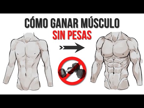 How to GAIN MUSCLE without WEIGHTS or a GYM | Applied Science