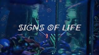 arcade fire - signs of life; subtitulada al español