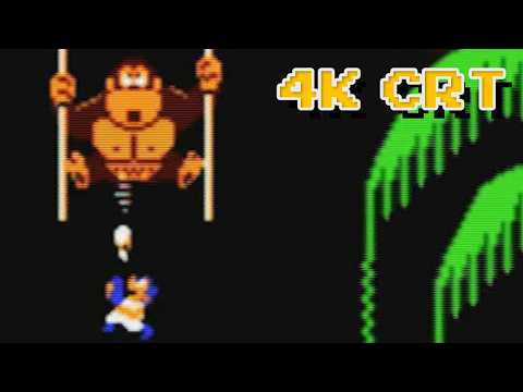 Donkey Kong 3 1982 NES | 4K CRT