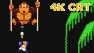Donkey Kong 3 1982 NES | 4K CRT