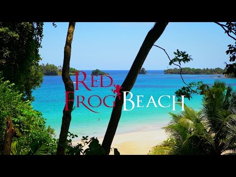 Red Frog Beach Real Estate - Bocas Del Toro, Panama