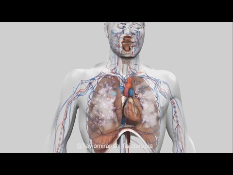 SISTEMA RESPIRATÓRIO