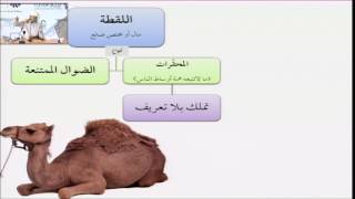 صورة فقه المعاملات 44 - التأهيل الفقهي (اللقطة) عامر بهجت