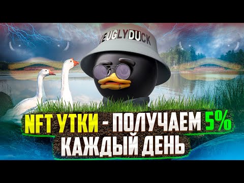 NFT Утки - Получаем 5% Каждый День - Платит Проверено!!!