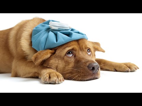 Why You Get Seasonal Headaches | Dr. Roshini Raj