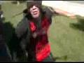 The Goblin King Part 1