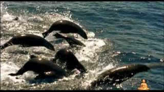 Buddha Bar - Wonderful Chillout music