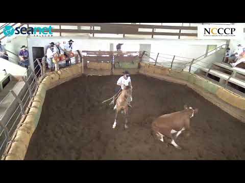 NCCCP - Mangueira 2 - Machos