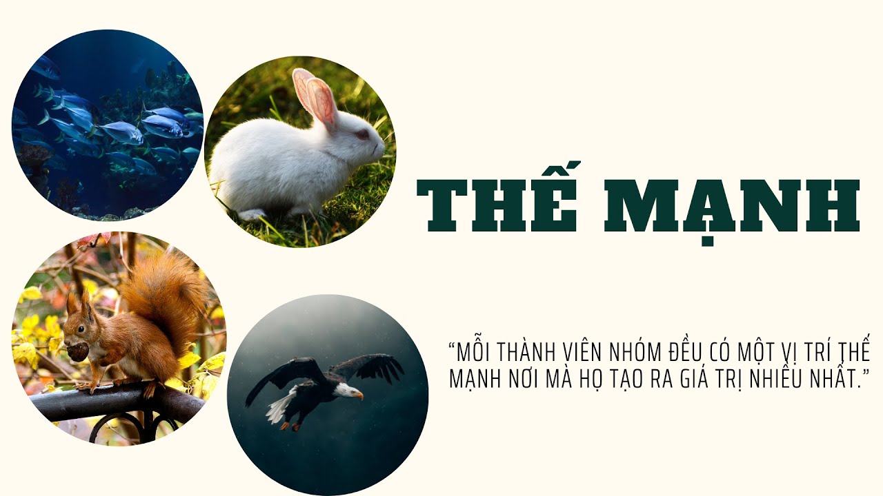 Nguyên tắc 3:  THẾ MẠNH