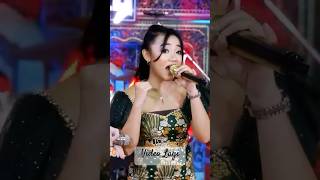 Download lagu MANUK DADALI - All Artis Adella - OM ADELLA 2023 #adella #koplo #manukdadali mp3