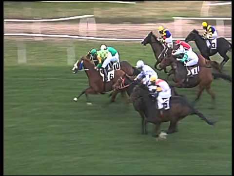 Galoppo 15/01/2016 - 1° corsa