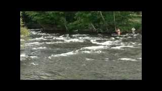 preview picture of video 'Salmon River Report - Pulaski, New York'
