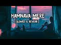 8D Audio || Humnava Mere [Slowed+Reverb] - Jubin Nautiyal || Musical Raptors