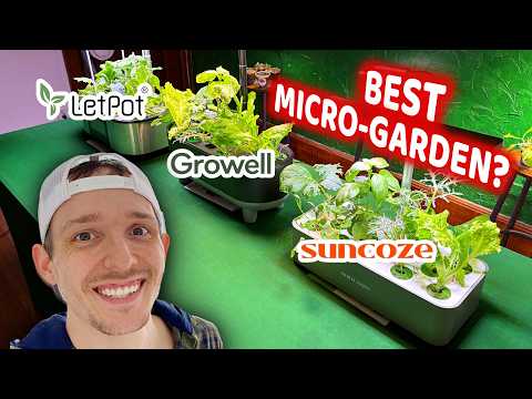 Top Three Small Hydroponic Systems in the USA! 12+ Crops, 55 Days, LetPot v Growell v Suncoze!