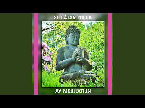 Droppar av regn med flöjt