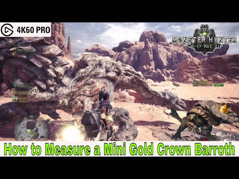 Monster Hunter: World - How to Measure a Mini Gold Crown Barroth Video