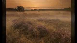 Op de grote stille heide