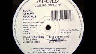 Ni-Cad - Do It Right