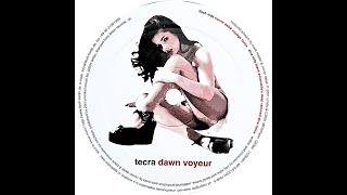 TECRA - Dawn Voyeur (Corvin Dalek Voyage Remix)