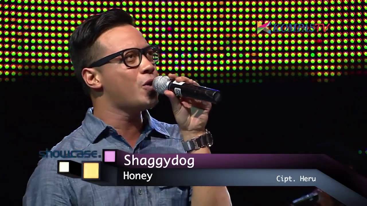 Lirik Lagu dan Chord Kunci Gitar Shaggy Dog - Honey - Tribun Video