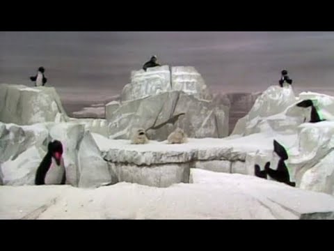 The Muppet Show - 501: Gene Kelly - “Jambalaya (On the Bayou)” (1980)