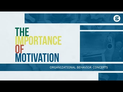 What is Organizational Behavior