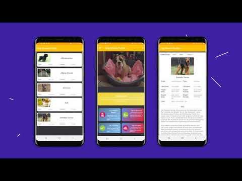 Dog Breeds Profile Video