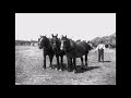 The Ploughboy's Dream