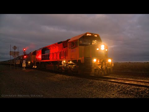 Broad Gauge Pacific National Grain Train (17/4/2021) - PoathTV Australian Railways