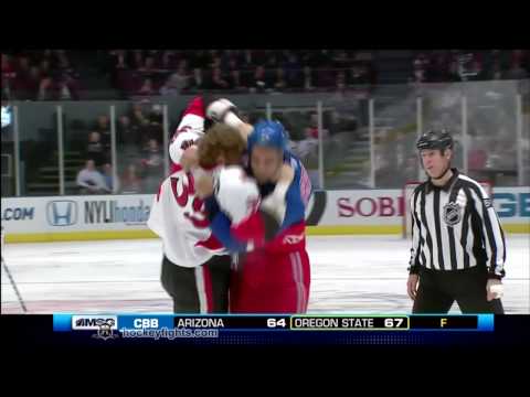 Matt Carkner vs Donald Brashear