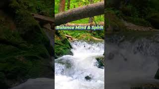 Mind & Spirit - Balance Everything with celtic Inspired Music