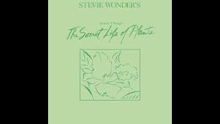 Stevie Wonder / Power Flower