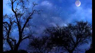 Give Me Back the Nights