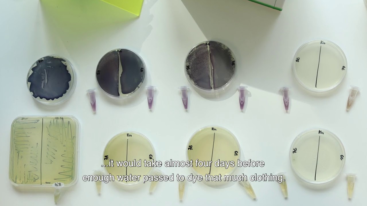 #015 - ColoriFix - Circular Stories