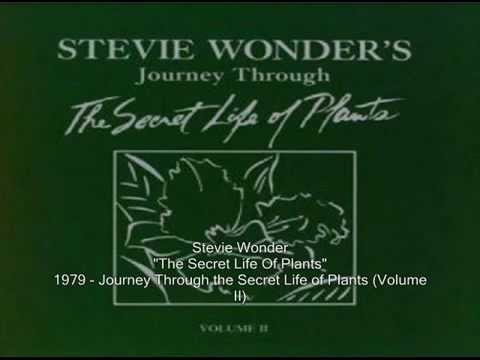 Stevie Wonder - The Secret Life Of Plants